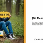 OK Meaning in Text