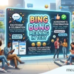Bing Bong Meaning in Text