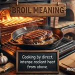 Broil Meaning